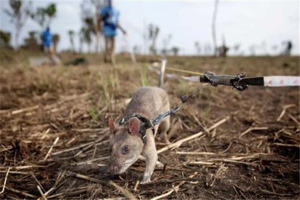 ���������������ж��ͼƬ ����ܴ�������