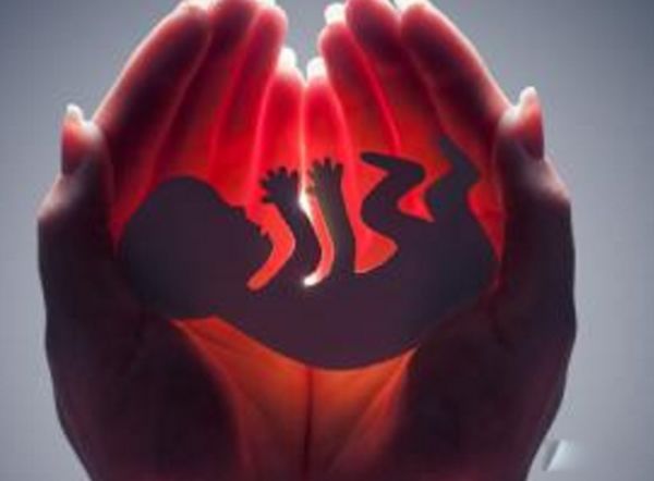 ��̥�Ĺ����뻯�ⷽ������ ��̥�ĺ���ȥ������