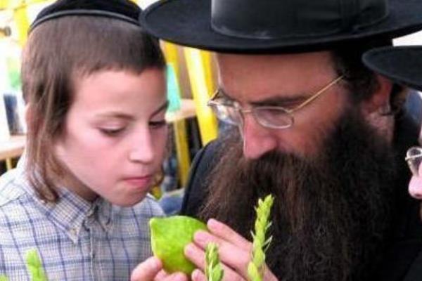 ��̫�����ĸ����ҵ��� ԭ���Ĺ���������