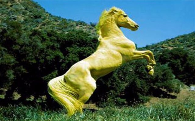 �й��Ŵ�ʮ���������� ��һ������������ʲô����