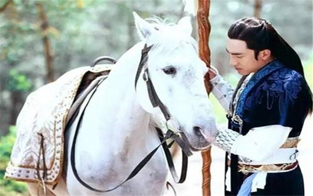 �й��Ŵ�ʮ���������� ��һ������������ʲô����