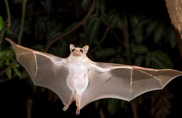 ����ɵ�������ʲôԤ�� �����ǲ���������