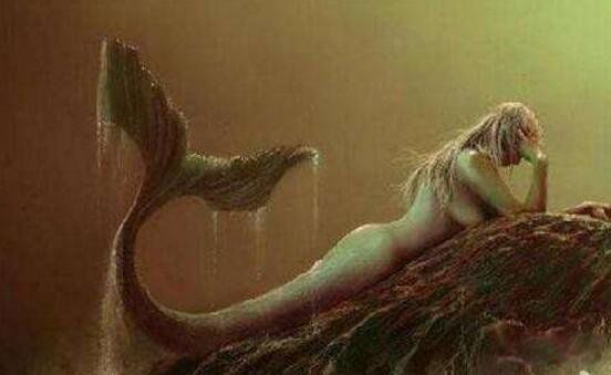 ���������������������� ���˵�������Ĺ��¼��