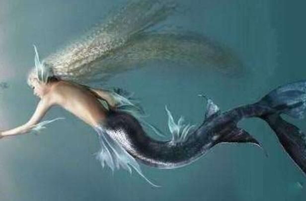 ���������������������� ���˵�������Ĺ��¼��