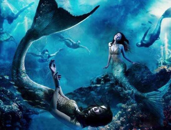 4�������㴫˵���� ������һ��������Ĺ���