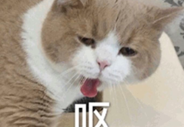 yue��ʲô��˼ Ů������˵yue�ĺ������