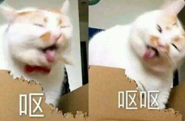 yue是什么意思 女生对你说yue的含义解释