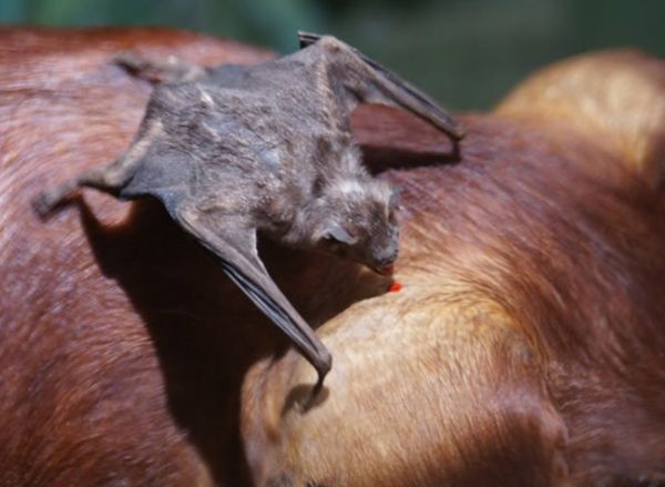 ����ɵ�������ʲôԤ�� �����ǲ���������