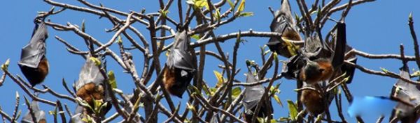 ����ɵ�������ʲôԤ�� �����ǲ���������