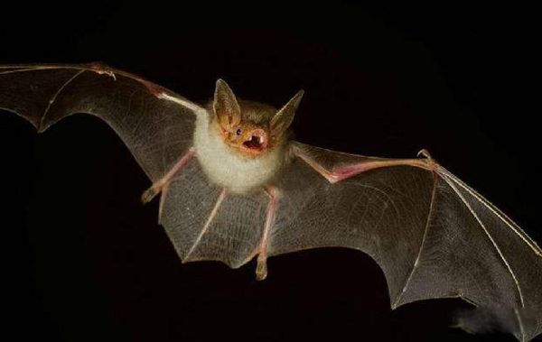 ����ɵ�������ʲôԤ�� �����ǲ���������