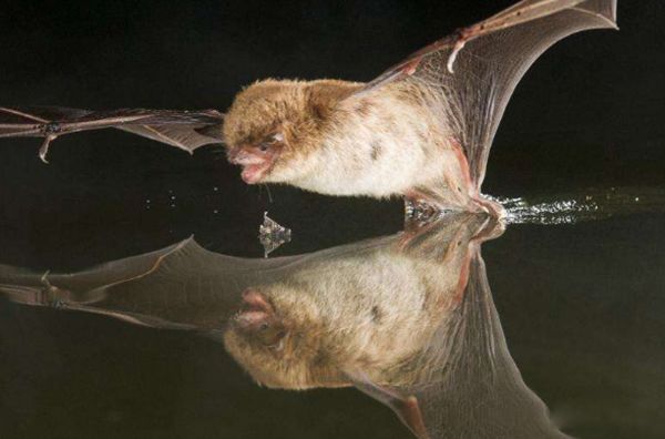 ����ɵ�������ʲôԤ�� �����ǲ���������