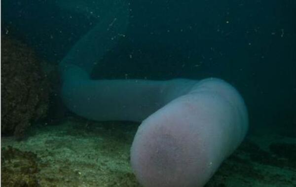 �������ʲô���� ���ͻ������˵�ͼƬ