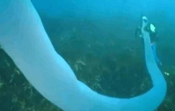 �������ʲô���� ���ͻ������˵�ͼƬ