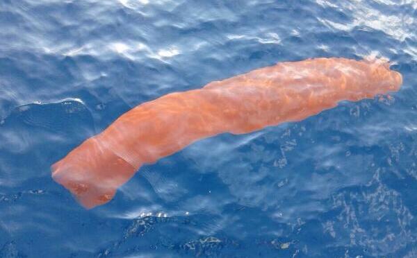 �������ʲô���� ���ͻ������˵�ͼƬ