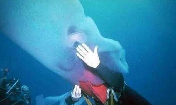 �������ʲô���� ���ͻ������˵�ͼƬ