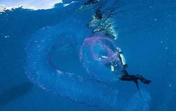 �������ʲô���� ���ͻ������˵�ͼƬ