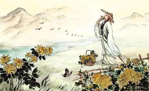 С�ɲ�¶������ʲô��ʫ С�ɲ�¶������ʲô��������