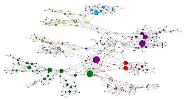 ������ѧ��ʲô��˼ ������ѧ�Ŀֲ�֤������������