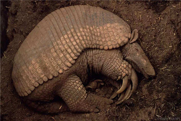 �������ļ�� ������������������ʲô