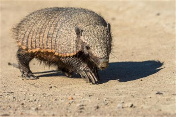 �������ļ�� ������������������ʲô