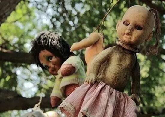 墨西哥娃娃岛是个什么地方 墨西哥鬼娃娃岛的传说是真的吗