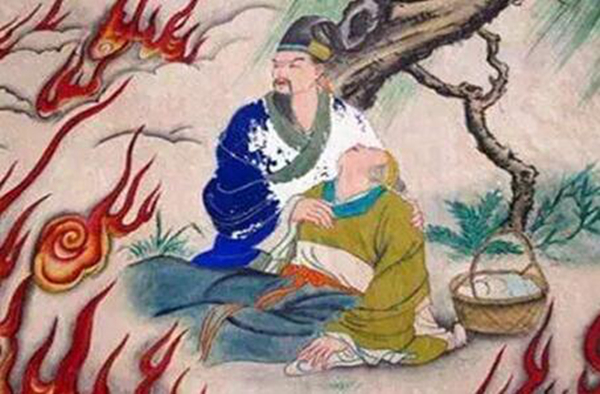 ��ʳ�ڵ�������� �����ƺ�ʳ�ڵ���������