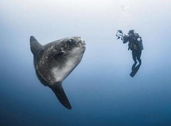 ������ĸ������� ��������̫��������ĺ���������