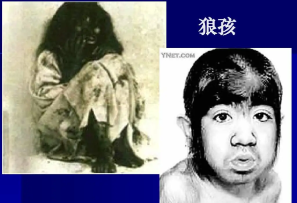 �������Ǻ��ǲ����� �Ǻ������������Ĺ��½�ʾ