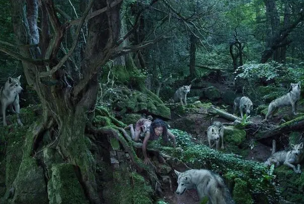 �������Ǻ��ǲ����� �Ǻ������������Ĺ��½�ʾ