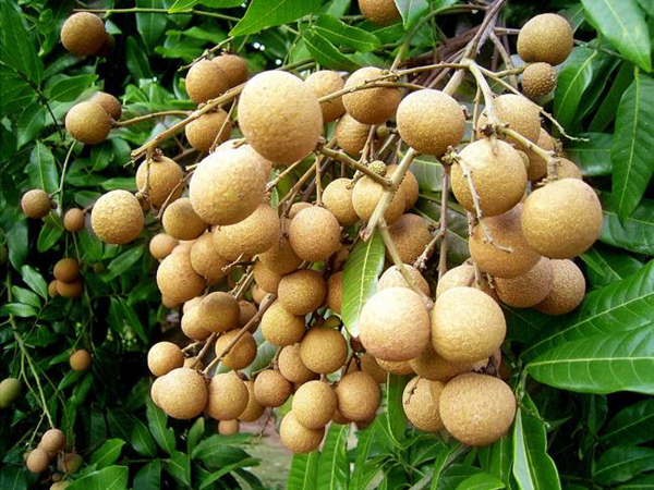 �и�����ʮ��ˮ������ �и�����ˮ��һ����