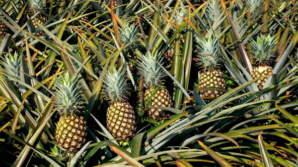 �и�����ʮ��ˮ������ �и�����ˮ��һ����