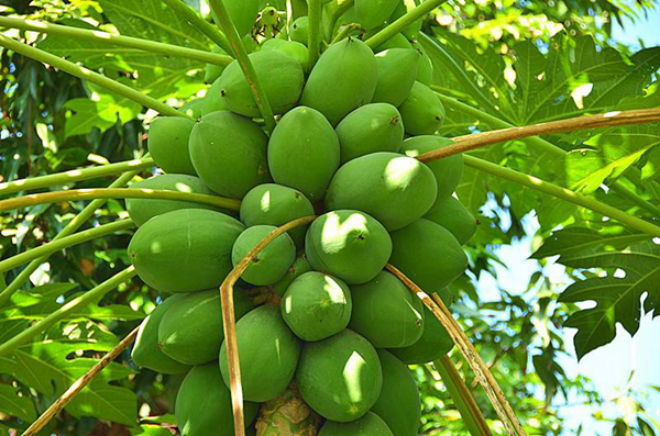 �и�����ʮ��ˮ������ �и�����ˮ��һ����