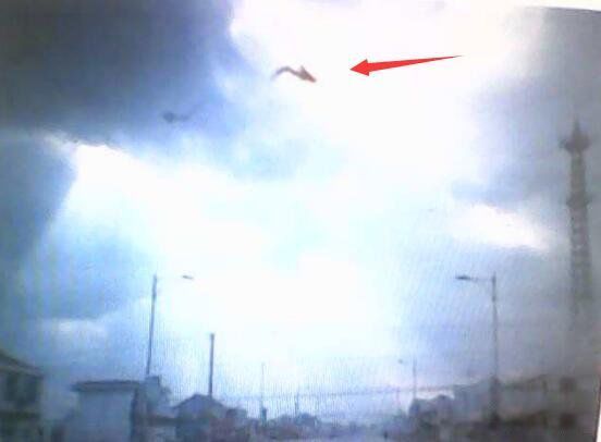 安徽巨蟒渡劫全过程 发生在95年的安徽巨蟒渡劫事件