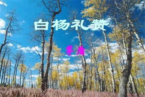 é�ܵ���Ʒ����Щ���� ��˵��һ��ì�ܵ���Ʒ