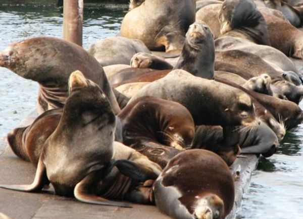 ������Ķ������а�ǰʮ�� ������������Ķ���������һ��֩��