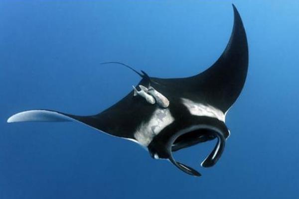 �������������ʲô���� ���ǵ��״�����ʲô���Ĳ�ͬ