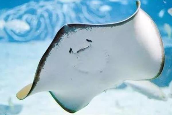 �������������ʲô���� ���ǵ��״�����ʲô���Ĳ�ͬ