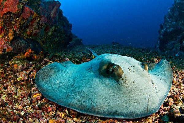 �������������ʲô���� ���ǵ��״�����ʲô���Ĳ�ͬ