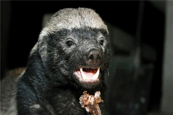 ��⵵������ж�� �������̴���൱�����������