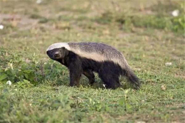 ��⵵������ж�� �������̴���൱�����������