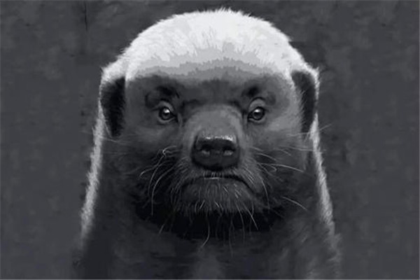 ��⵵������ж�� �������̴���൱�����������