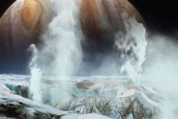 ľ�����͵����С�Ա� �ӵ���ľ����������ٹ���