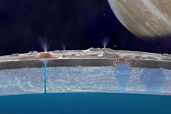 ľ�����͵����С�Ա� �ӵ���ľ����������ٹ���