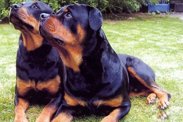 ���Ĺ���Ʒ������ ���������Ĺ�ǰʮ�����а�