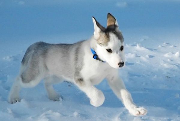 ���Ĺ���Ʒ������ ���������Ĺ�ǰʮ�����а�