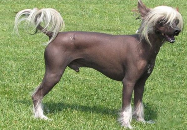 ���Ĺ���Ʒ������ ���������Ĺ�ǰʮ�����а�