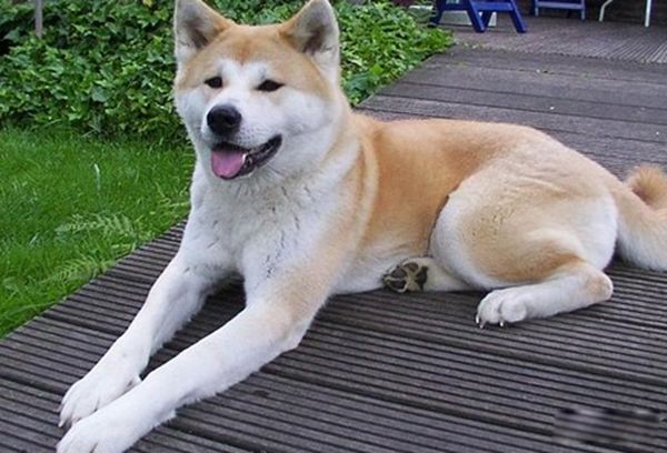 ���Ĺ���Ʒ������ ���������Ĺ�ǰʮ�����а�