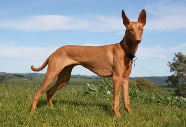 ���Ĺ���Ʒ������ ���������Ĺ�ǰʮ�����а�