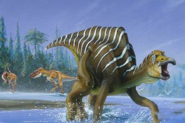 ��������׽һֻ�����¼�������� ����������һֻ�������ʯ