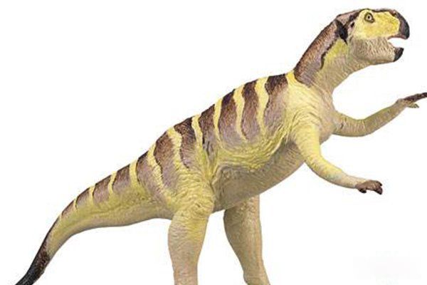 ��������׽һֻ�����¼�������� ����������һֻ�������ʯ